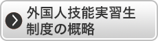 外国人技能実習生制度の概略